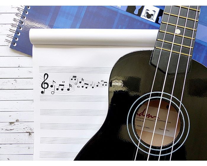 Clairefontaine - Music Wirebound Notebook - 8 Staves per Page - 11 3/4 x 8 1/4" - Blue