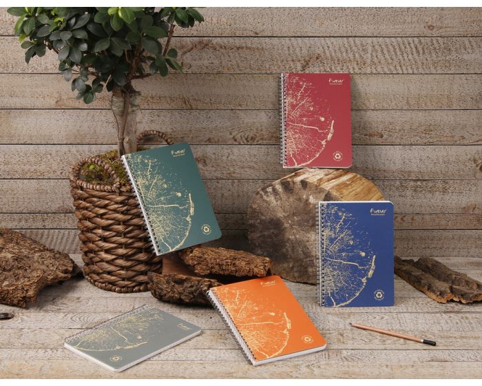 Clairefontaine Forever Recycled Notebooks - Wirebound - Lined - 6 x 8 1/4" - Assorted